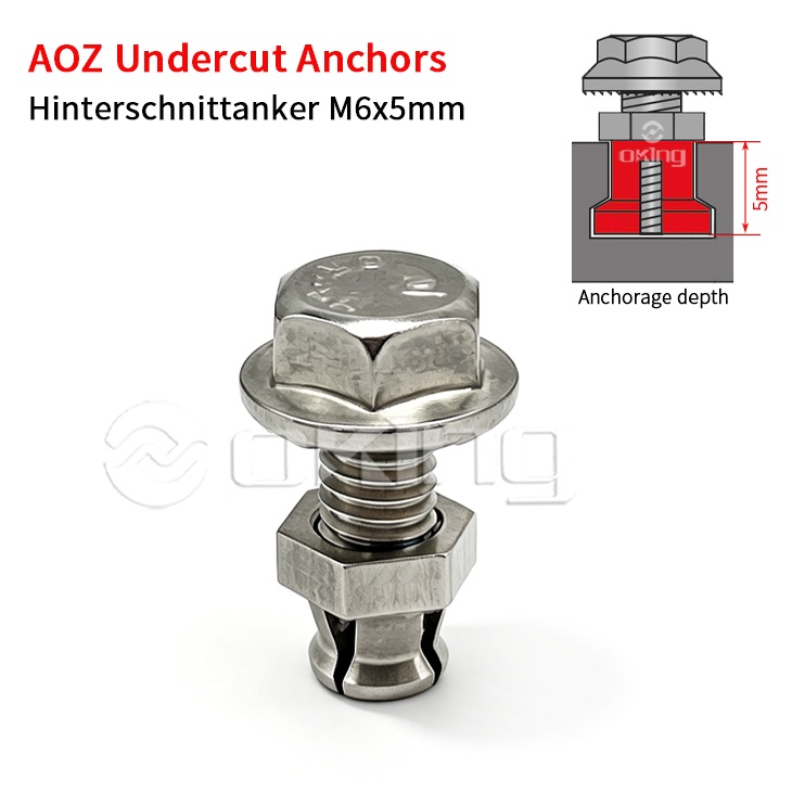 AOZ roestvrijstalen M6x5mm ondersnijdingsankers, achterschnittanker voor ondersnijdingsbevestigingssystemen